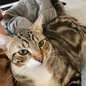 Meet your Posher, Chelsea